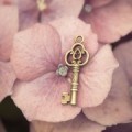 Ключ на цветке гортензии